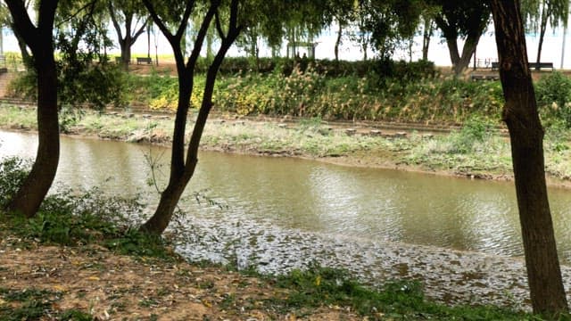 고요한 공원의 강변 풍경
