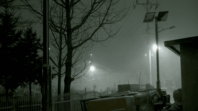 Snowy night scene with streetlights