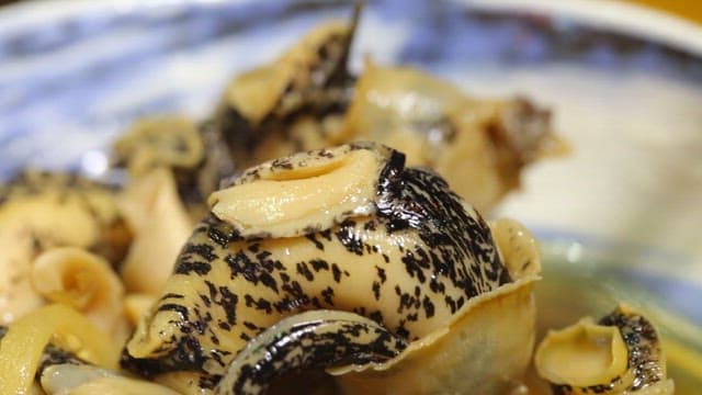 고추냉이를 곁들인 소라 한 입