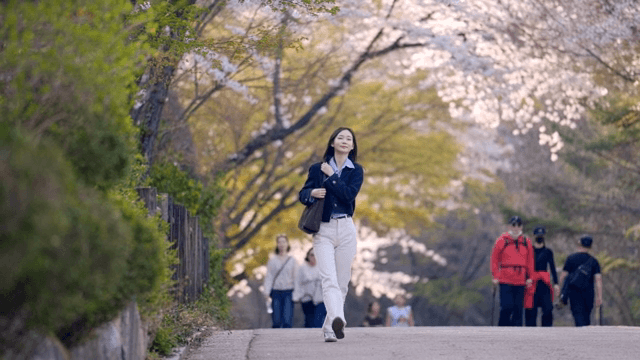 벚꽃 나무 아래에서 산책을 하는 여성