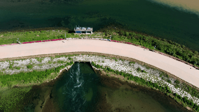 Aerial view of a clear river and lush greenery