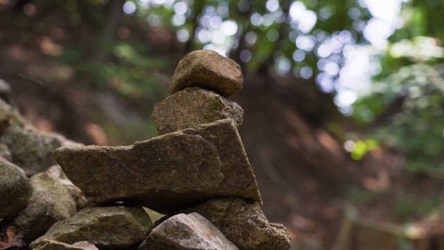 숲 속에 쌓여 있는 돌 무더기