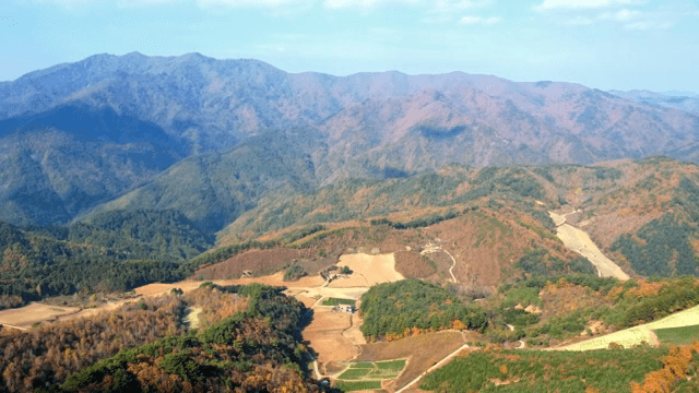 가을의 다채로운 산의 항공 뷰