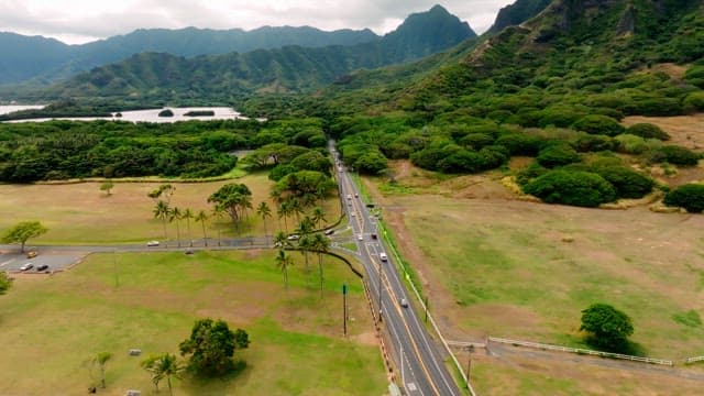 Aerial view of a scenic road among lush greenery