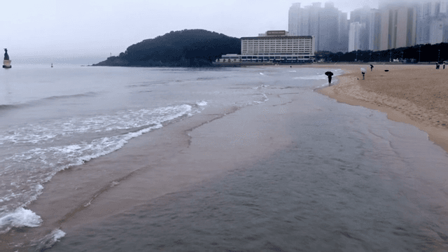 A misty beach with distant skyscrapers