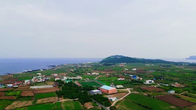 Coastal town with green fields and houses beside the sea