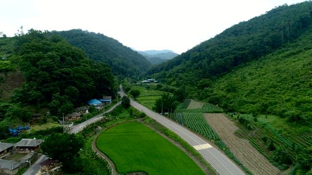 Aerial View of Lush Green Rural Landscape