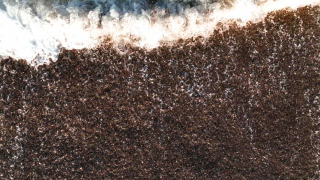 모래 해변에 부딪히는 파도