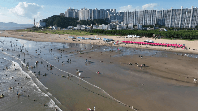 Busy beach with city skyline