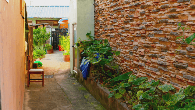 Quiet alley with brick walls and plants