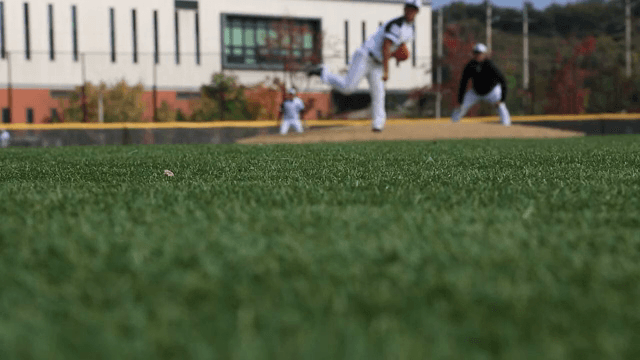 야구 경기를 하는 사람들