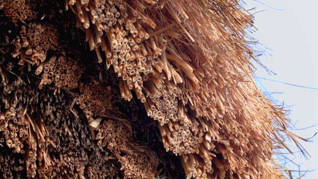 시골 집의 전통 초가지붕 짚의 세세한 표면