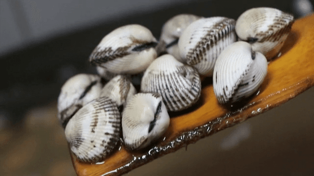 Lifting the boiled cockles from the water
