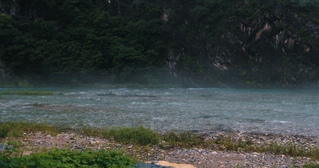 숲이 우거진 계곡을 흐르는 안개 낀 강