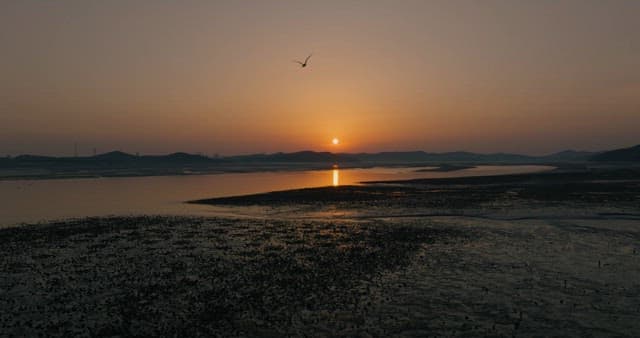 Serene Sunset Over a Coastal Landscape