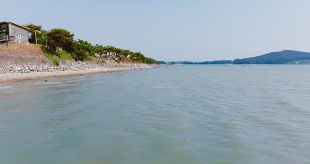 Coastal view with houses and greenery