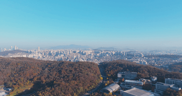 가을 언덕과 펼쳐진 도시 전경