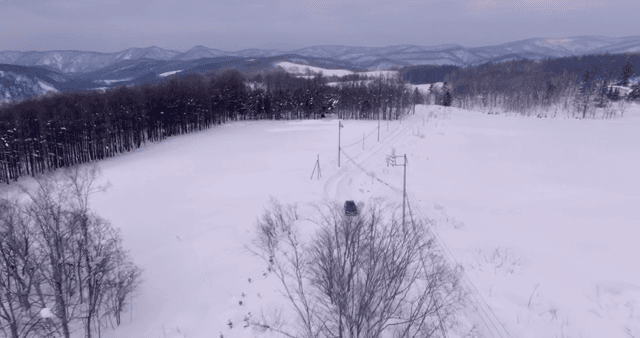 Car driving through a snowy forest road