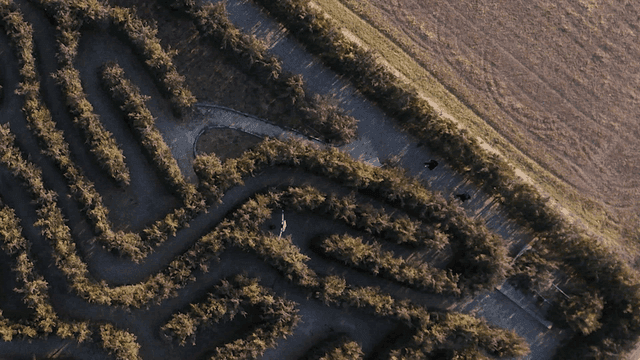 Aerial view of a maze in a field