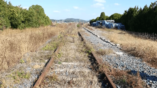 잡초가 무성한 오래된 철도