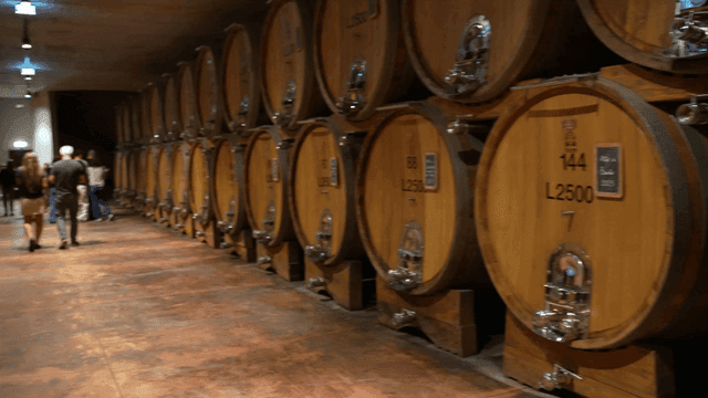 Large wooden barrels in a wine cellar