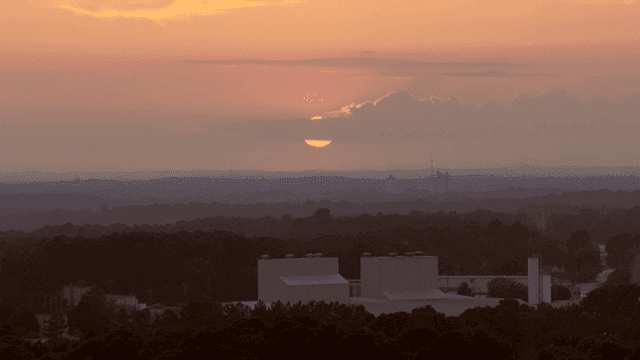 숲이 우거진 풍경 위의 일몰