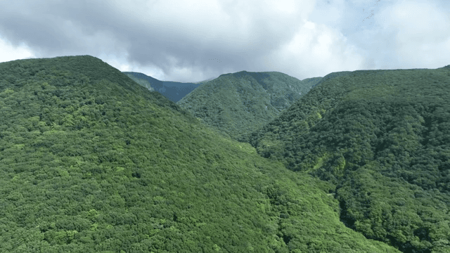 구름 낀 하늘 아래 푸른 산
