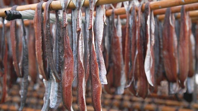 Fish drying on racks in an outdoor facility