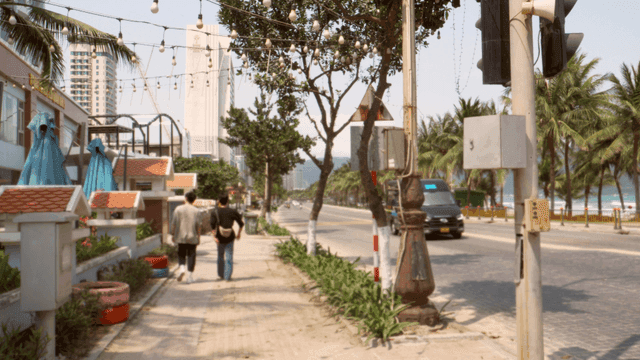 도로 옆 해변의 야자수