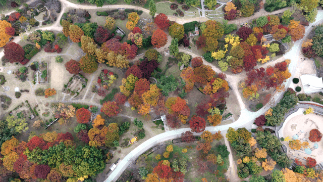 구불구불한 길이 있는 가을 숲
