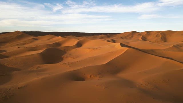 Expansive desert landscape under blue sky