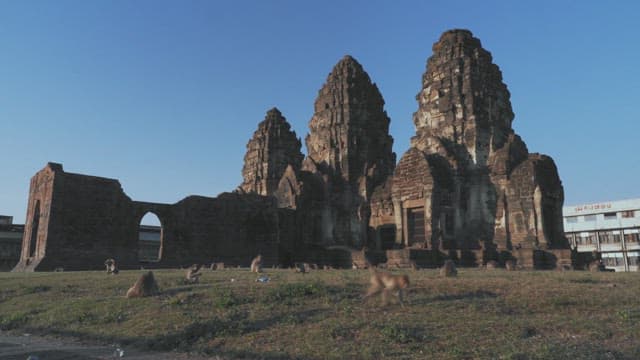 Ancient Temple with Monkeys Playing Under a Clear Blue Sky