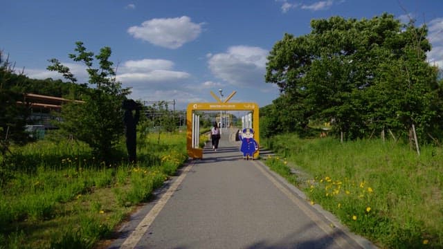 A person walking along a scenic path on a sunny day