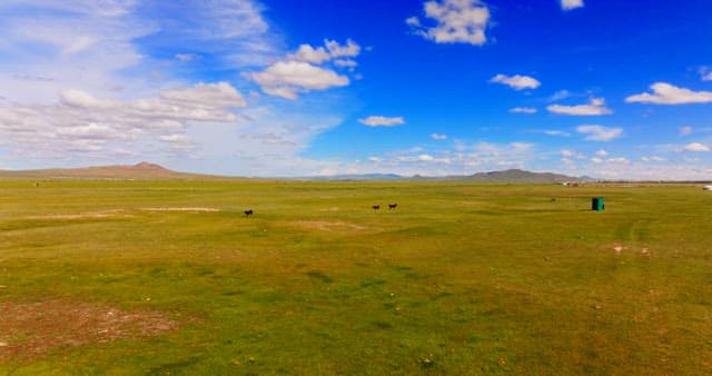 Vast grassland with distant mountains