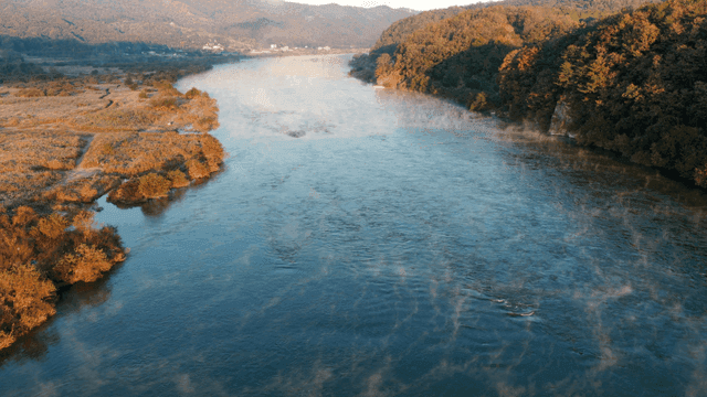 숲을 흐르는 고요한 강