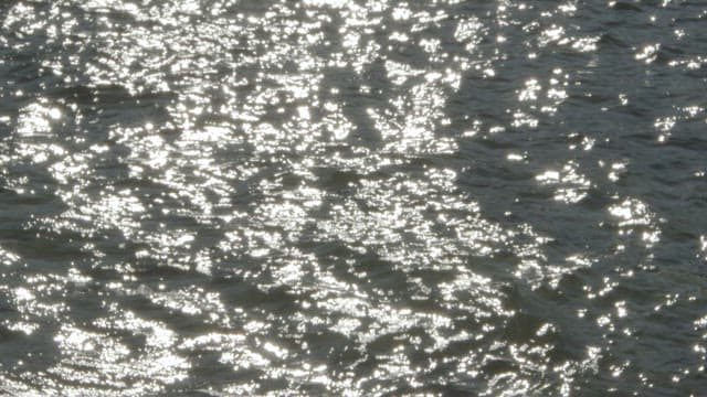 Glistening Sunlight on Gentle Sea Waves