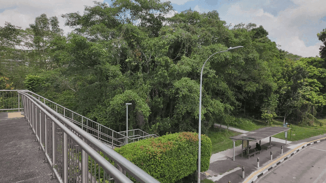 푸른 숲 근처의 조용한 도로