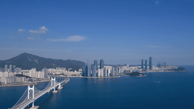 다리와 고층 건물이 있는 해안 도시