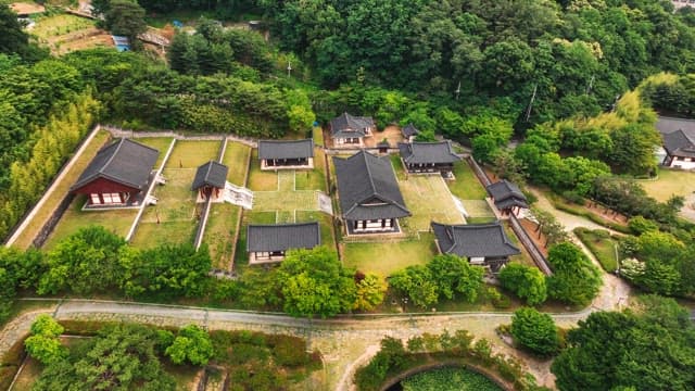 푸른 나무로 둘러싸인 한국 전통 가옥