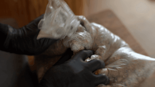 목공 풀과 톱밥을 흔들어 섞는 목공예가