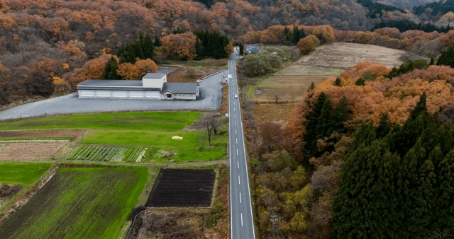 농지를 지나는 시골 도로
