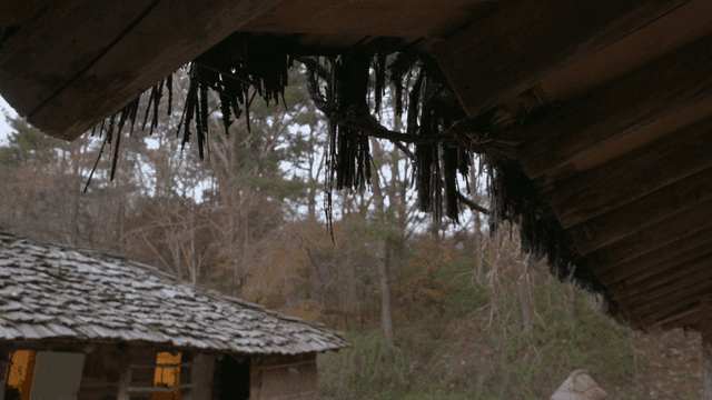 Traditional Korean house in a forest