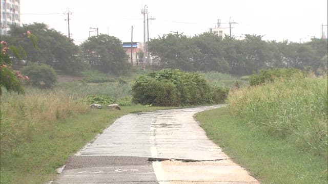 Overgrown Pathway in an Urban Garden