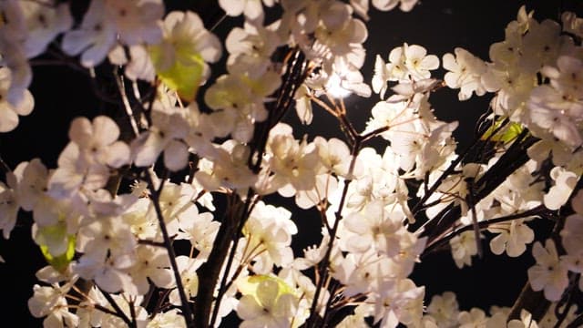 인테리어를 화사하게 만드는 벚꽃 장식