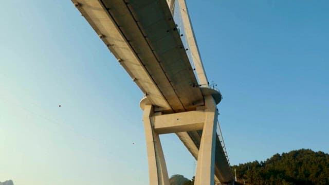 숲 위에 걸쳐 있는 웅장한 사장교