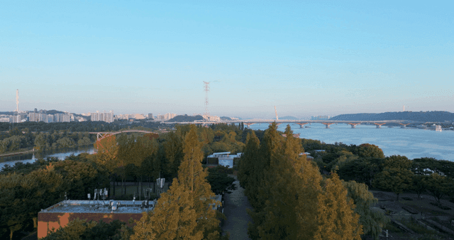 City skyline with rivers and trees