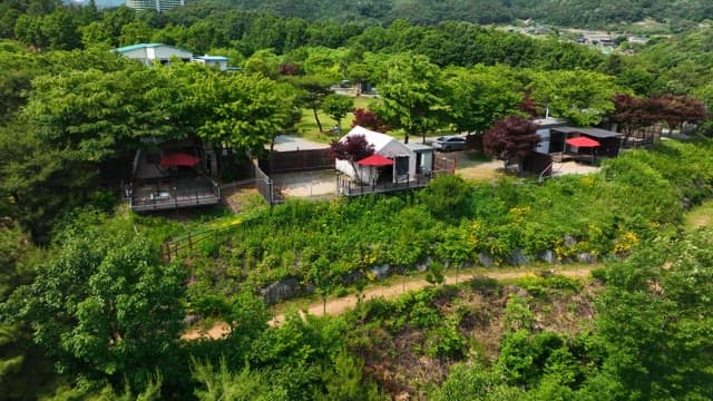 Camping Site Surrounded by Lakes and Green Trees