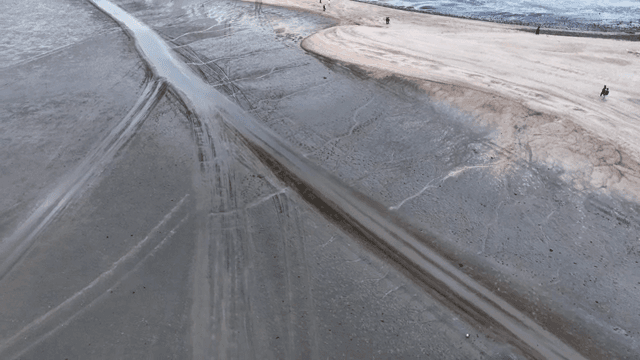 모래사장과 갯벌의 항공 뷰