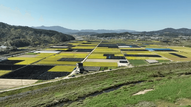 산을 배경으로 한 넓은 농경지