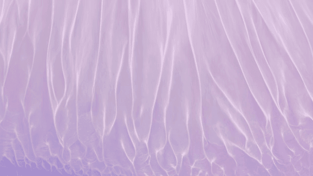 흐르는 연보라 색상의 추상 패턴